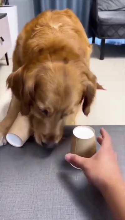 He changed his mind.