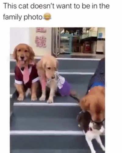 This family photo should be perfect...