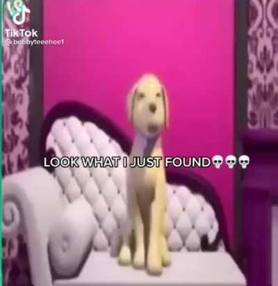 Funniest thing ever seen