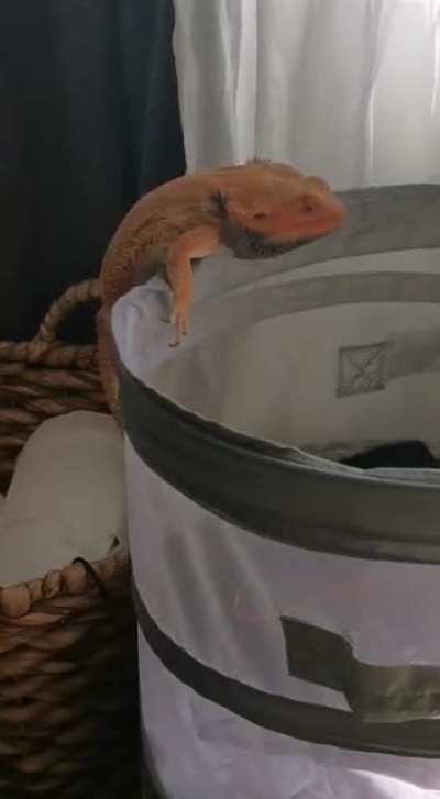 Angry mafia boss found his way to jail. Some well deserved jail time.