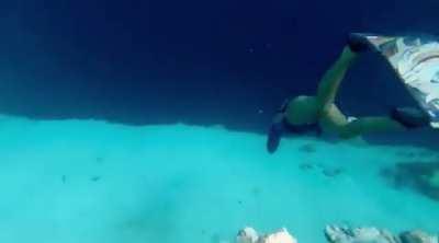 Diving the great blue hole