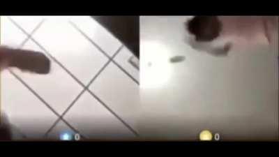 Hitting your computer will hurt the one you're videochatting with