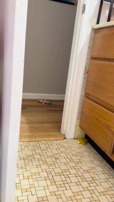 Bonnie wanted to play fetch while I was in the tub.