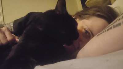 Her name is Chompy and she is the loudest purrer I have ever been owned by (she also likes to give me little licks 🥰)