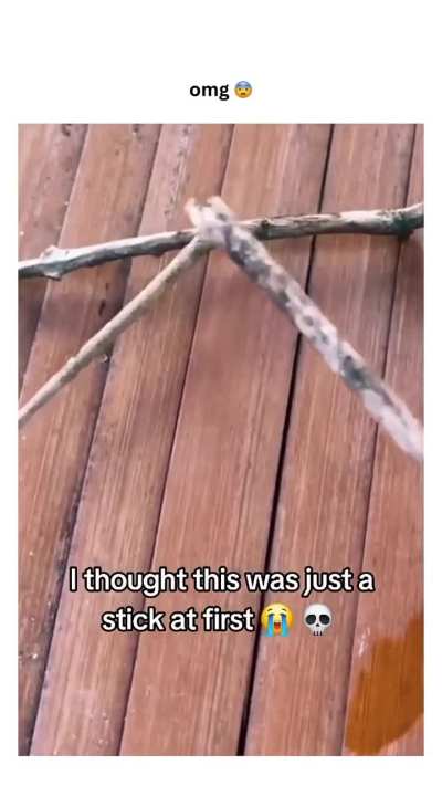 be careful with pole plants