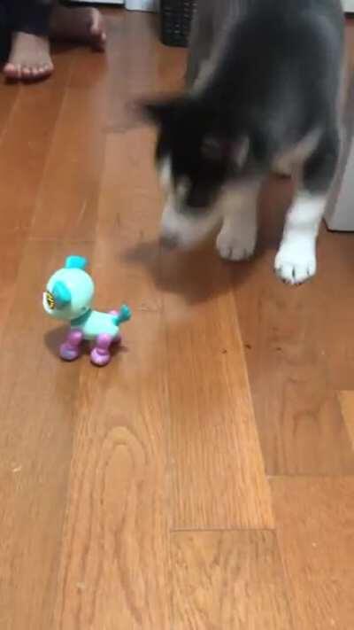 My baby getting mad at a toy
