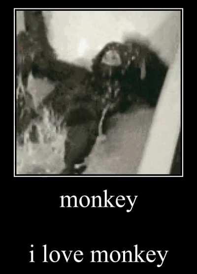 I love monkey 🐒 [OC plz use this!!]