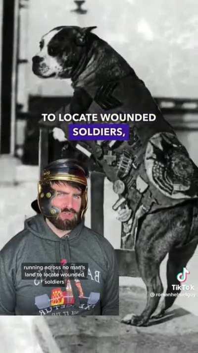 “Sergeant Stubby” The War Dog