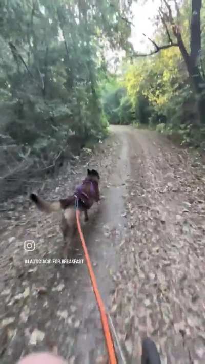 5 miles for his 5 years