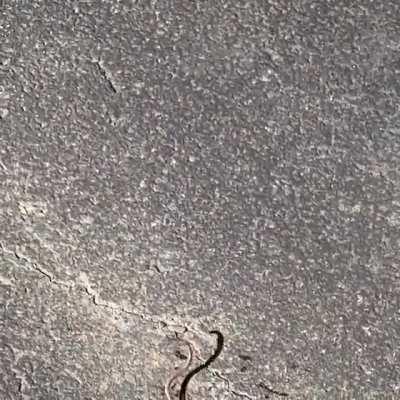 Howard finally admits that he's doing a bad job