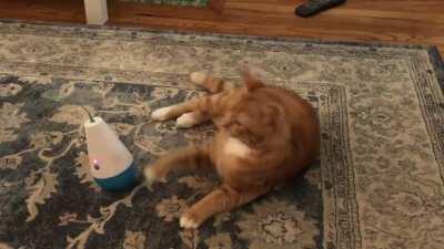 He’s been doing this for four hours with no signs of ever becoming disinterested.