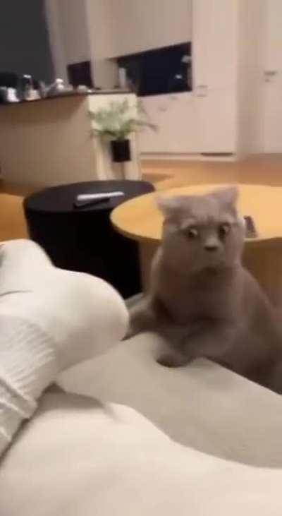 Bro is concerned of that stank