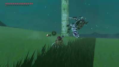 how enemies see Link in bullet time