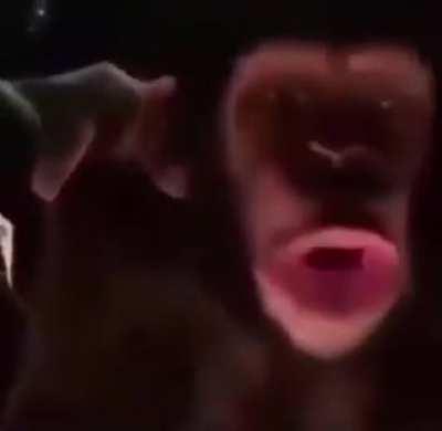 OOOO OOOO OOO OOOO OOOOO OOOO OOOOOOO OOOOO WHOOAAA WHOAOA OOAAAAAAA