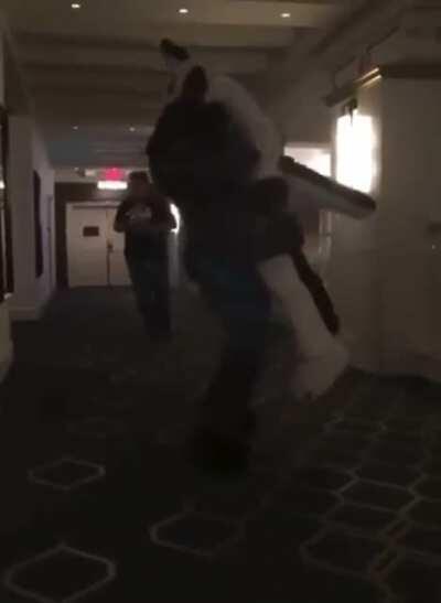 Shitpost 185 increíble fueron matando furros