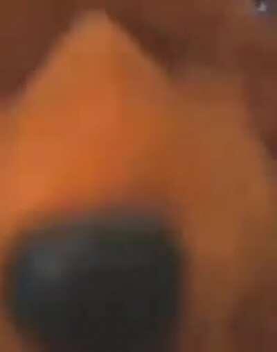 q cheiro é esse? faz a boa pau fofinho lindinho