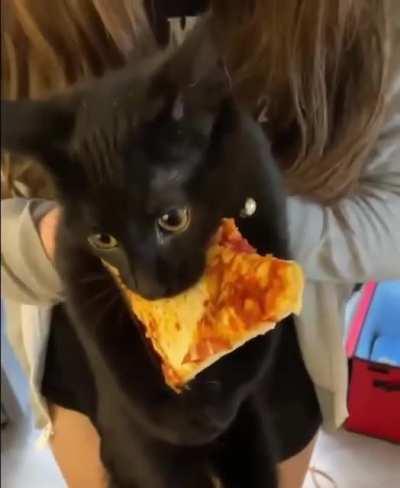 yey i've got one slice..