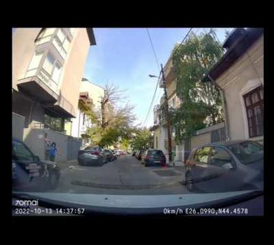 Au înnebunit salcâmii - Sursa tiktok