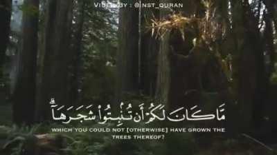 very beautiful verses and chilling recitation
