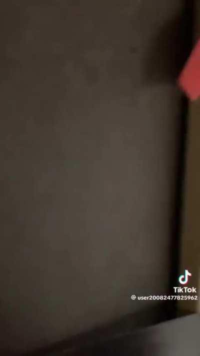 mentally diseased country