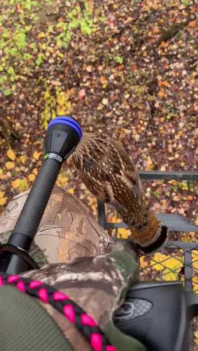 Wyd if you were this hunter?