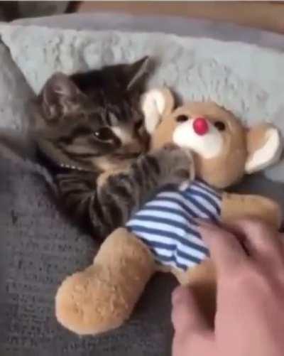 Don’t forget the teddy!