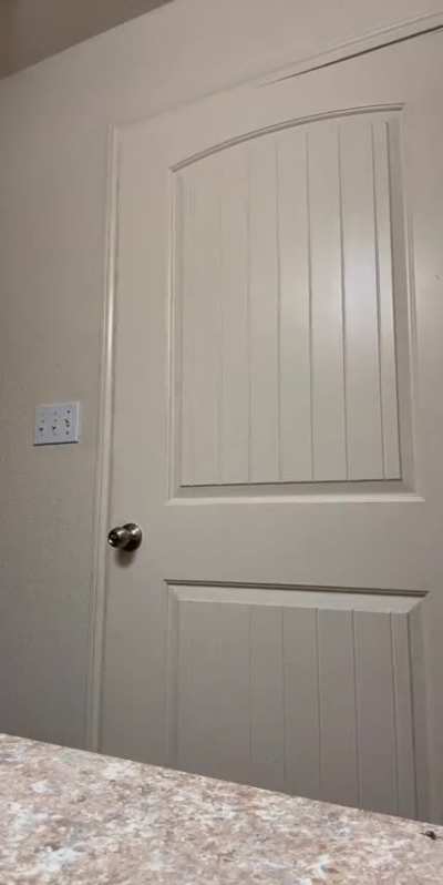 Thick shi 😮‍💨fat 🐱