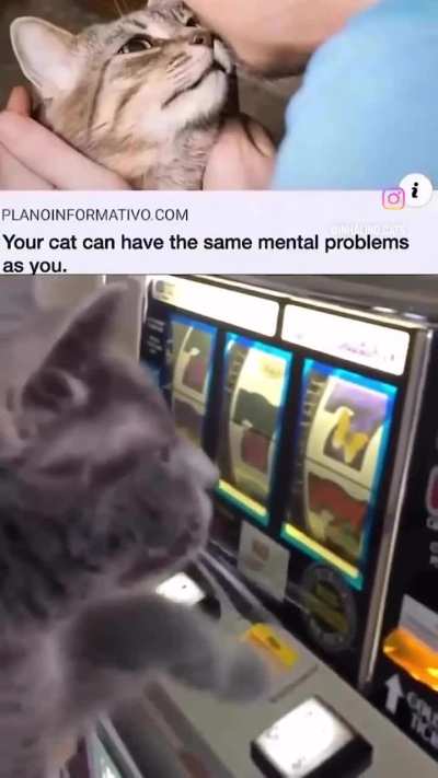 his ass is definitely gonna win