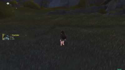 2.8 | New Echo Absorption QOL via Naruse