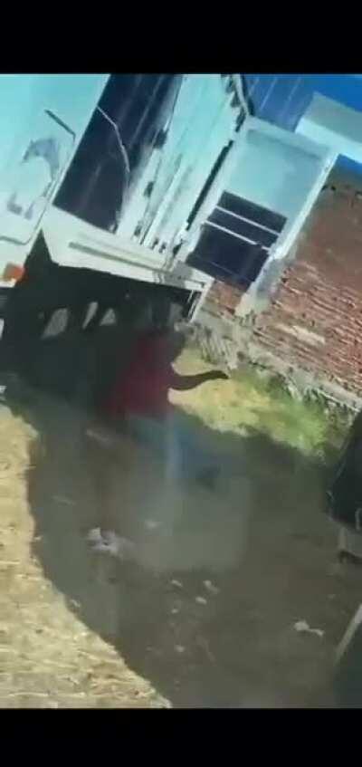 Les presento a leo..