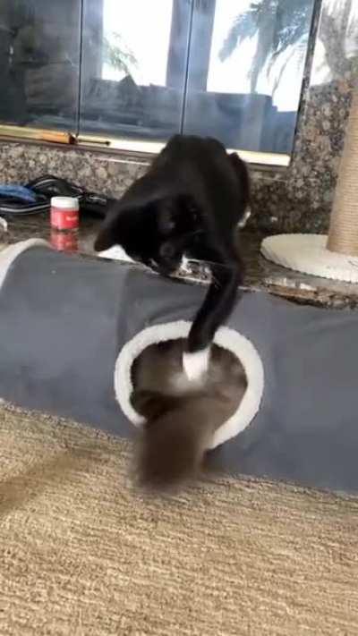 What is it 😳😳😳😳