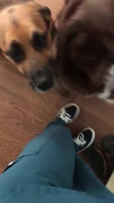 I was away for ~3 hours ~ :’)