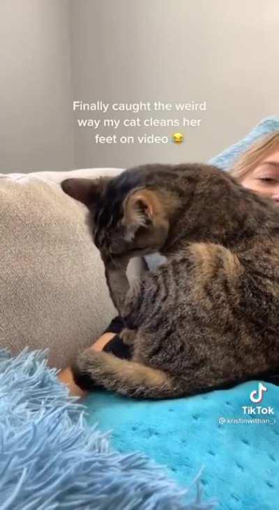 Cat has a unique way of cleaning herself