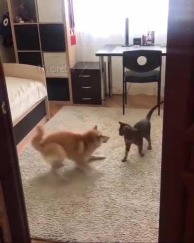 Will you stay still for a sec?