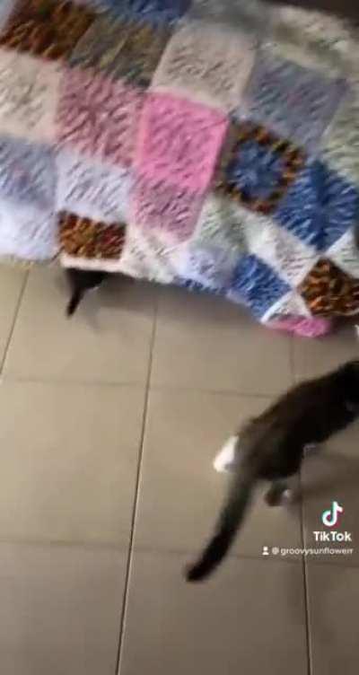 Who do you think won?