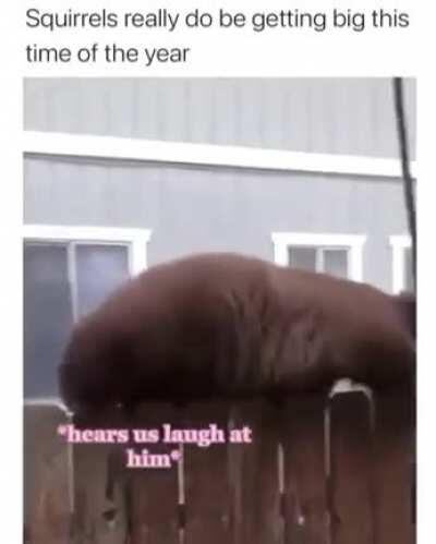 Every day in russia...