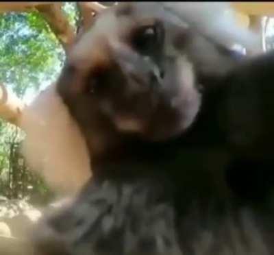 İyi geceler 😚🤭