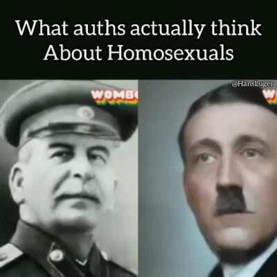 We Modern auths seem to be the gayest of the bunch for some reason. Wounder why.