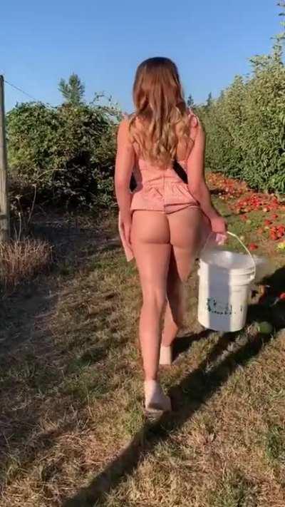 Trains, apples, sundresses, and a cute asshole. What could be better