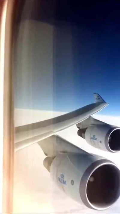 Wing flexibility on turbulence