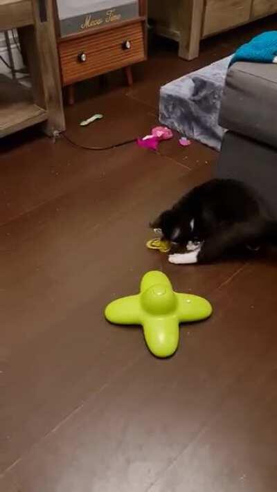 Smol Paul (CH) vs the INFERNAL BUTTERFLY