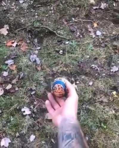 The need for SPEEEEEEEED