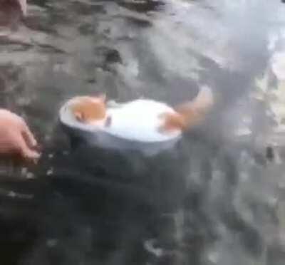 The best boat I've ever seen