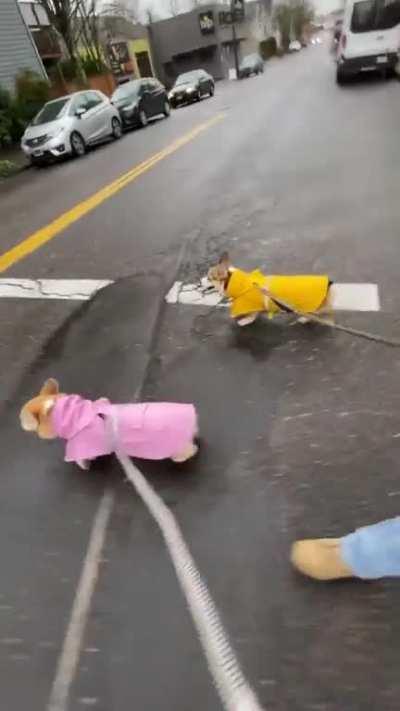 Matchy outfits a must for a rainy day.