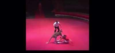 Ref was yelling at the roo like he spoke English