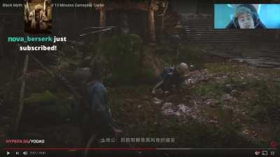 APAVORADO AO VIVAÇO KKKKK só a true da true