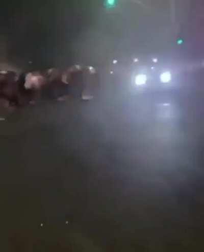 Just a couple idiots doing idiotic things