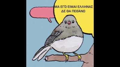 Good to be an Albanian