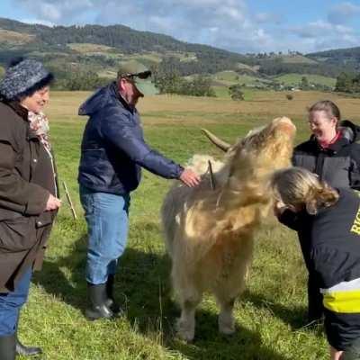 Mikayla appreciating the triple brushing duty