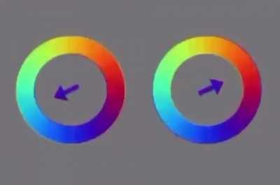 The circles don't move but your mind moves them